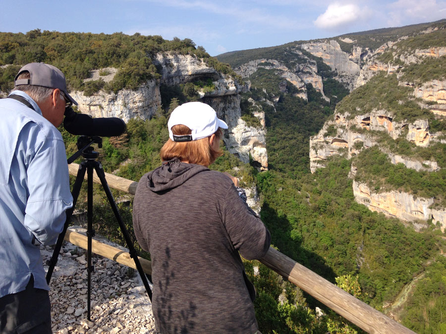 Birding Tour