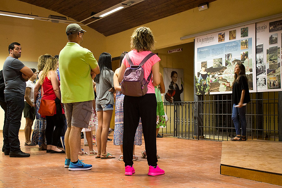 Visita guiada a Bodega Pirineos