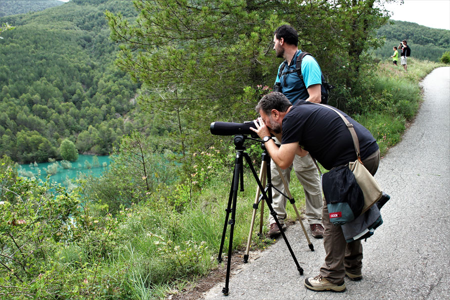 Sendero ornitológico de Gerbe