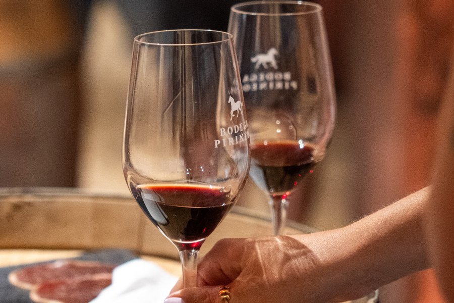 Visita guiada a Bodega Pirineos