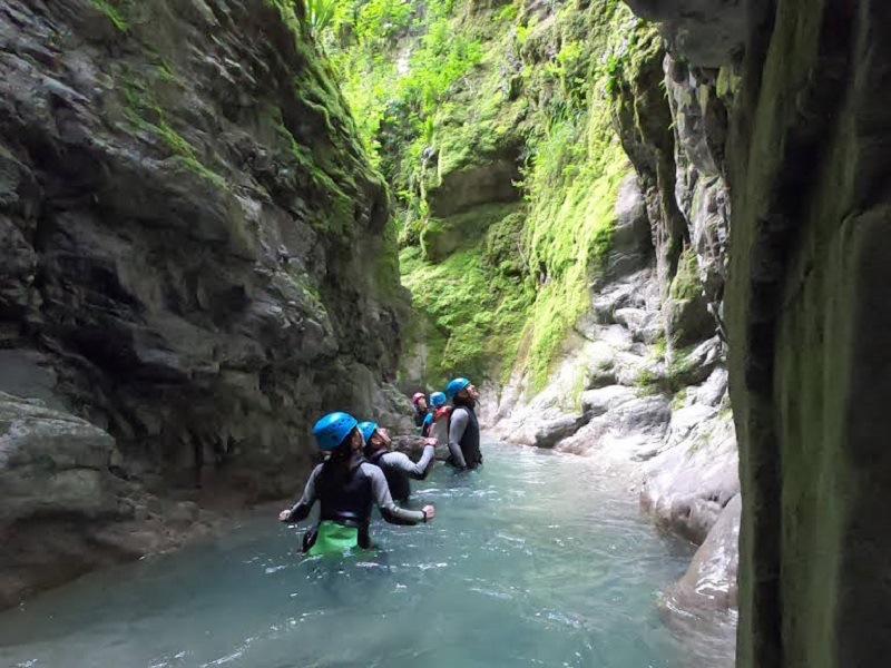 Green Pyrenees